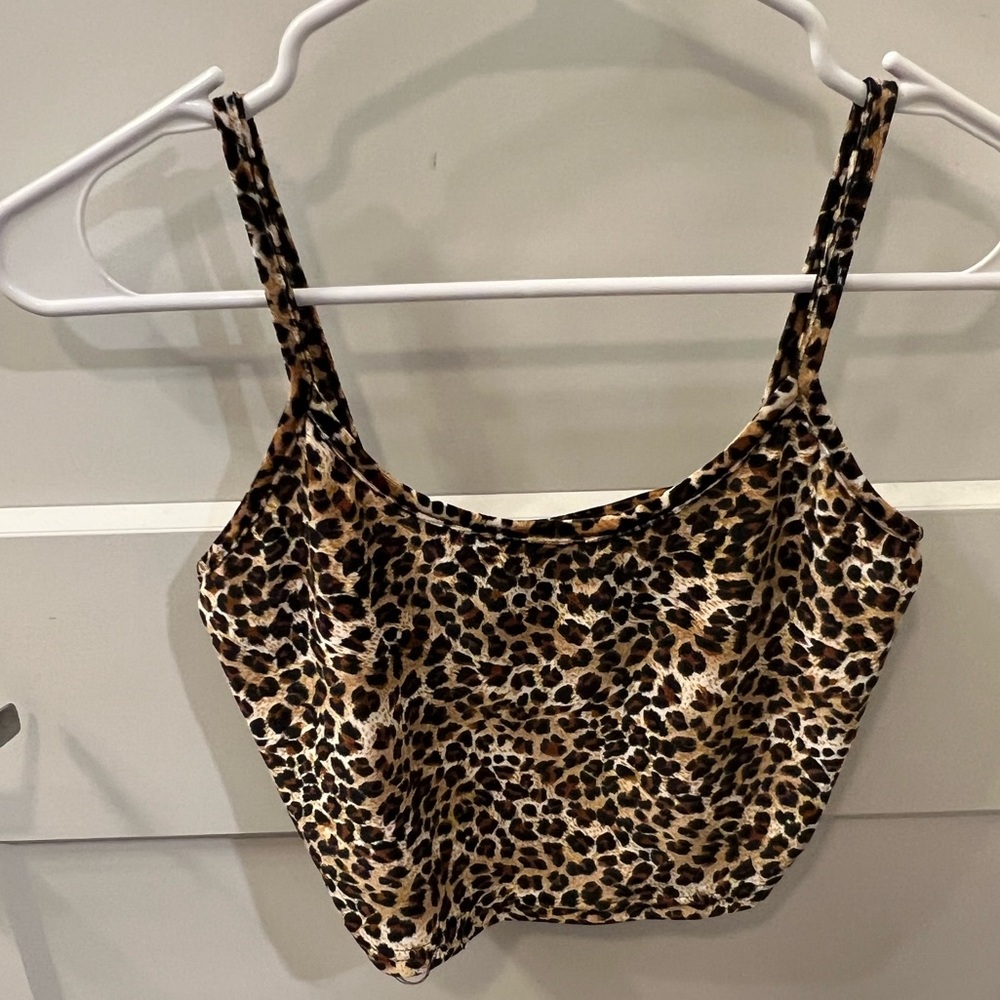 Cheetah tank
